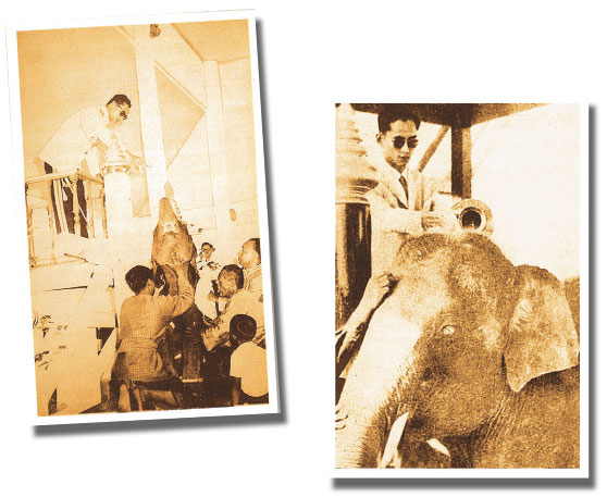 ภาพข่าว