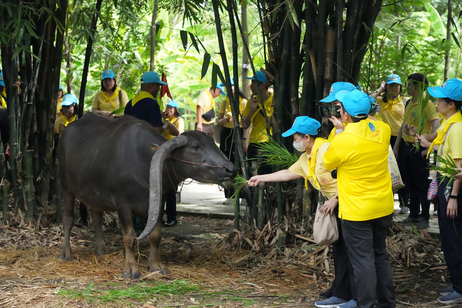 ภาพข่าว